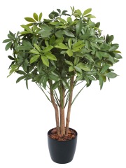 Schefflera ombelle artificiel