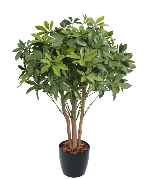 Schefflera ombelle artificiel