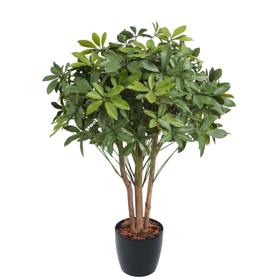 Schefflera ombelle artificiel Schefflera ombelle artificiel