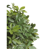 Schefflera ombelle artificiel
