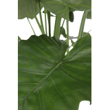 Grand alocasia artificiel