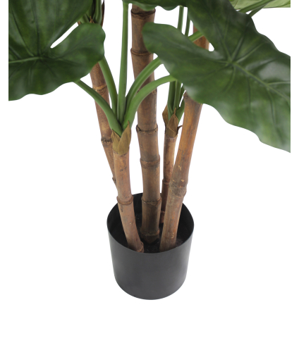 Pot