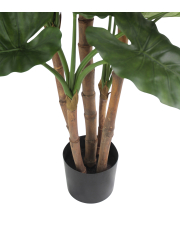 Pot
