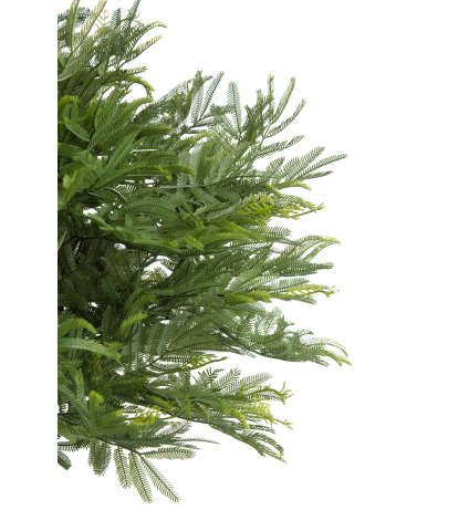 Tamarinier artificiel buisson