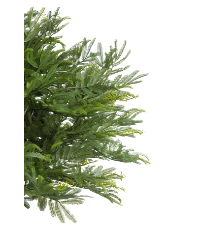 Tamarinier artificiel buisson