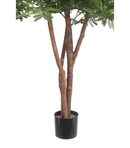 Tamarinier artificiel buisson