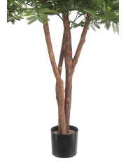 Tamarinier artificiel buisson