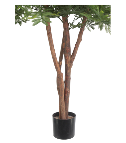Tamarinier artificiel buisson