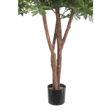 Tamarinier artificiel buisson