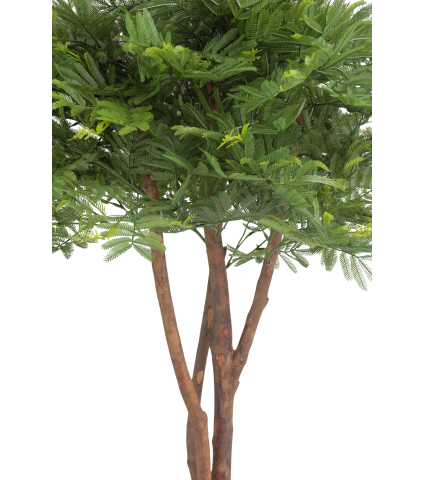 Tamarinier artificiel buisson