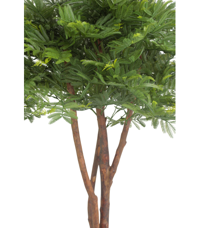 Tamarinier artificiel buisson
