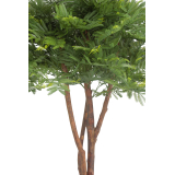 Tamarinier artificiel buisson