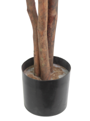 Pot