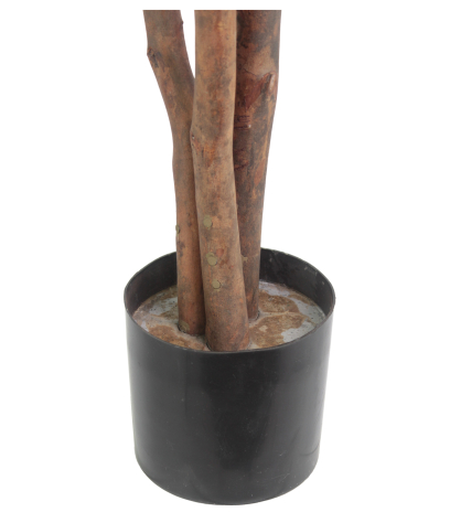 Pot