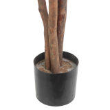 Pot