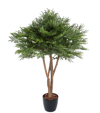 Tamarinier artificiel buisson