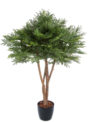 Tamarinier artificiel buisson