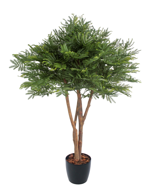 Tamarinier artificiel buisson