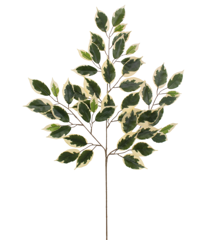 Feuille de ficus panaché artificielle