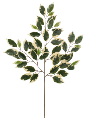 Feuille de ficus panaché artificielle
