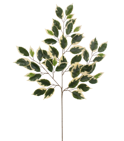 Feuille de ficus panaché artificielle