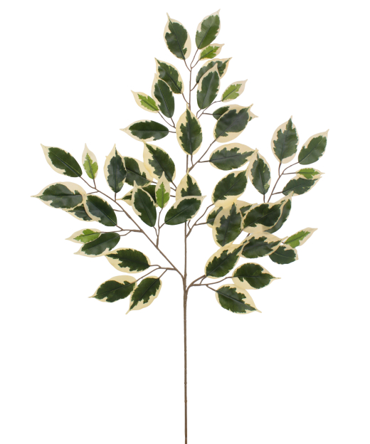 Feuille de ficus panaché artificielle