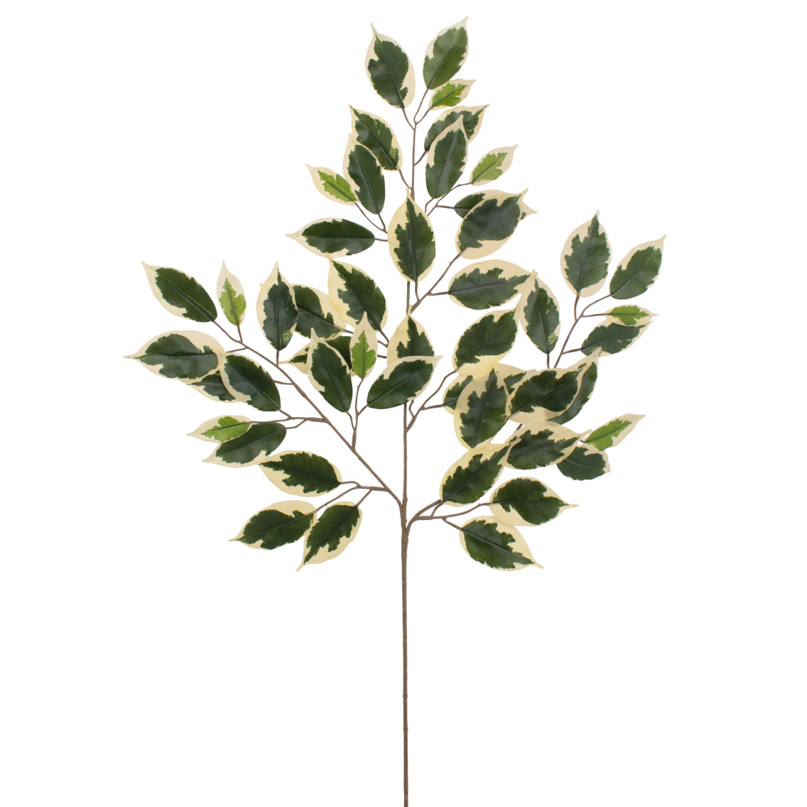 Feuille de ficus panaché artificielle Feuille de ficus panaché artificielle