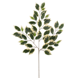 Feuille de ficus panaché artificielle