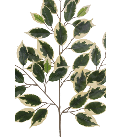 Feuille de ficus panaché artificielle
