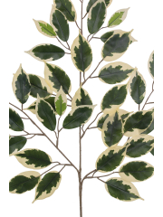 Feuille de ficus panaché artificielle
