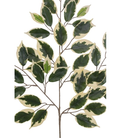 Feuille de ficus panaché artificielle