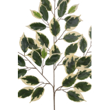 Feuille de ficus panaché artificielle