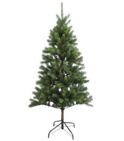 Sapin du Caucase artificiel