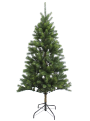 Sapin du Caucase artificiel