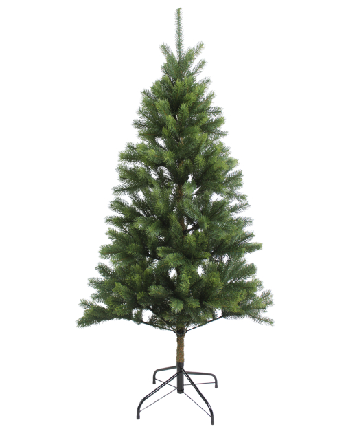 Sapin du Caucase artificiel