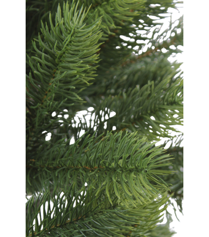 Sapin du Caucase artificiel