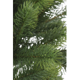 Sapin du Caucase artificiel