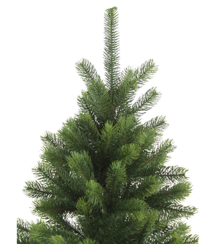 Sapin du Caucase artificiel