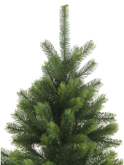 Sapin du Caucase artificiel