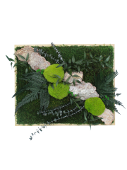 Tableau végétal stabilisé Rocher