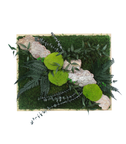 Tableau végétal stabilisé Rocher