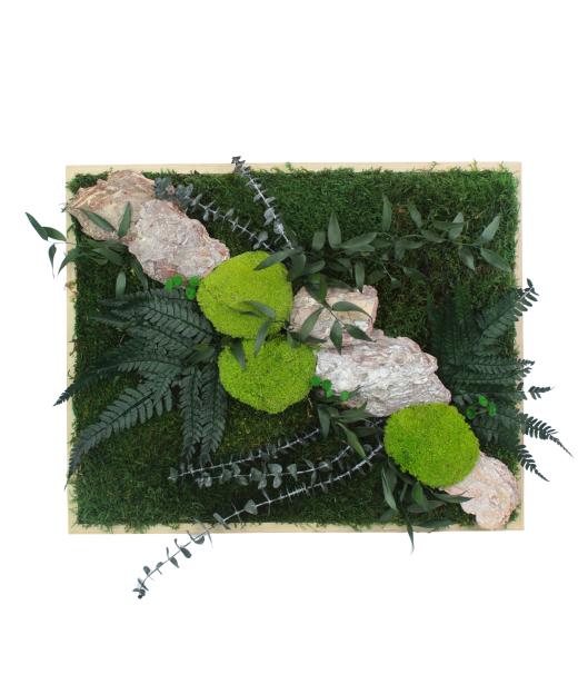 Tableau végétal stabilisé Rocher