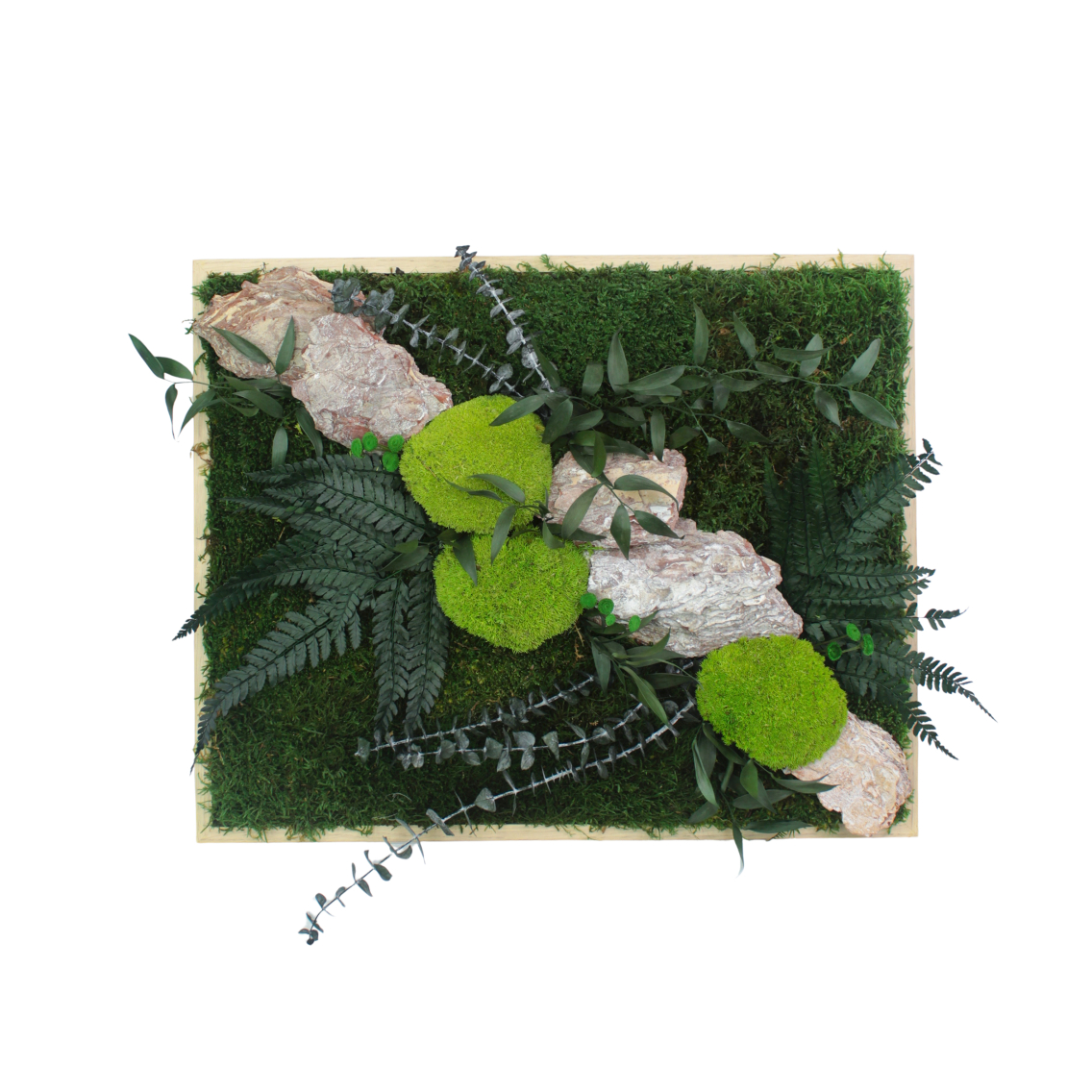 Tableau végétal stabilisé Rocher