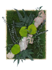 Tableau végétal stabilisé Rocher