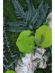 Tableau végétal stabilisé Rocher