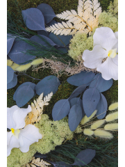 Tableau végétal stabilisé Vernon