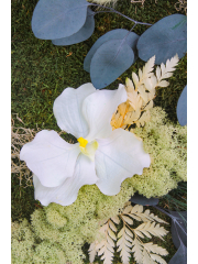 Tableau végétal stabilisé Vernon