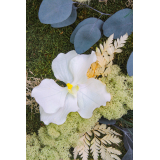 Tableau végétal stabilisé Vernon