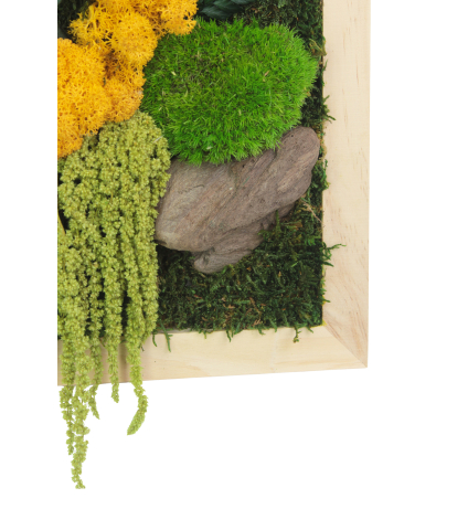 Tableau végétal stabilisé Songe d'Automne