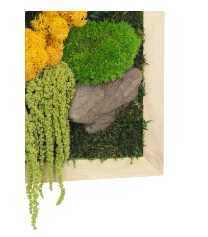 Tableau végétal stabilisé Songe d'Automne